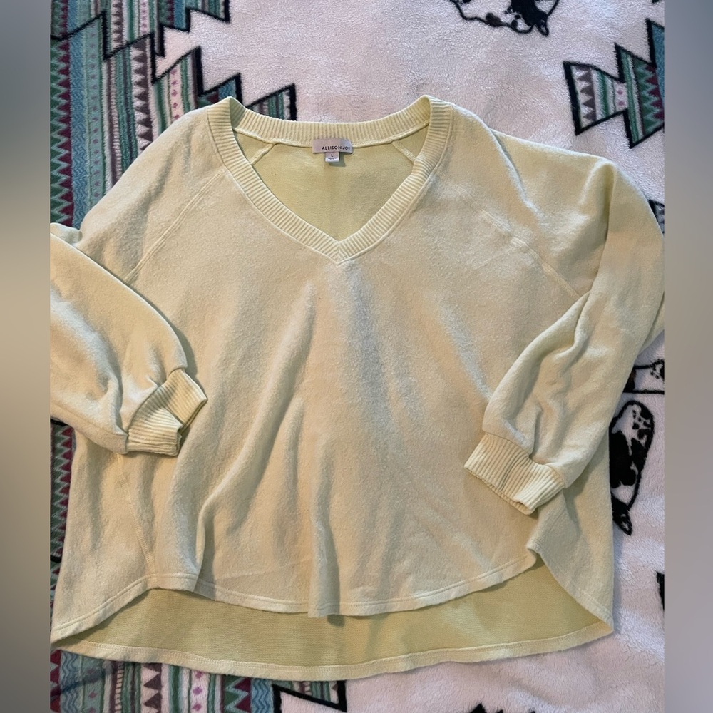 Alison Joy sweater size large light green